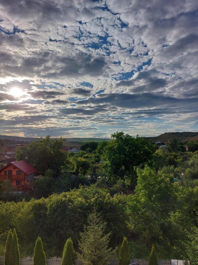 Daiana Residence Cabane Τούρντα Εξωτερικό φωτογραφία